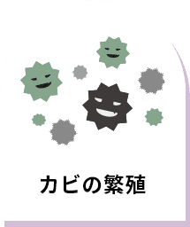 カビの繁殖
