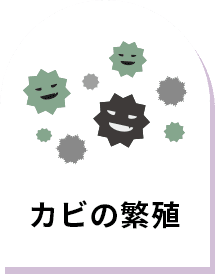 カビの繁殖